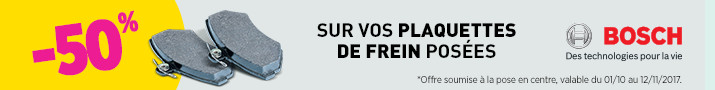 plaquettes