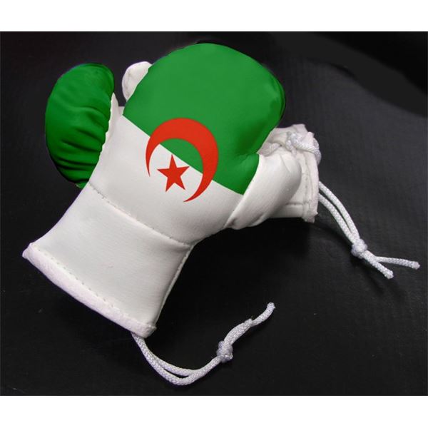 Déco rétroviseur mini gants de boxe Algérie Déco rétroviseur mini gants de boxe Algérie