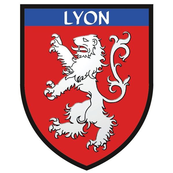Fanion pour voiture Lyon StickZif Fanion pour voiture Lyon StickZif