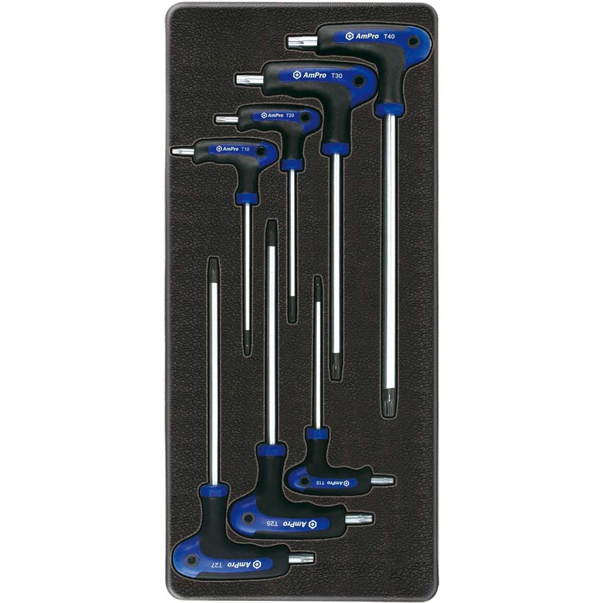 Module de rangement servante clés Torx percées T22905 AmPro