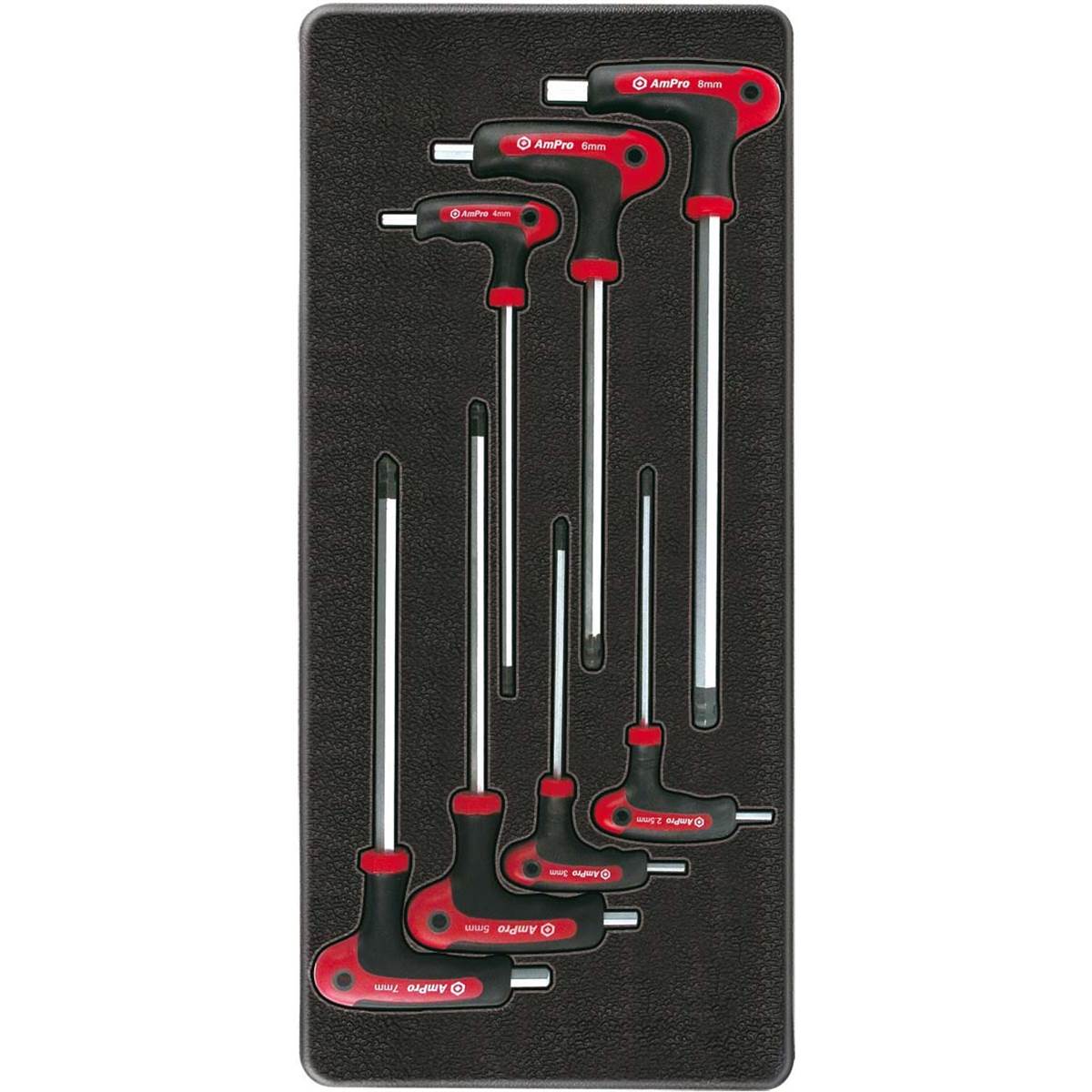 Module de rangement servante clés sphériques T22906 AmPro